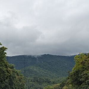 Meet your Posher, Mandi